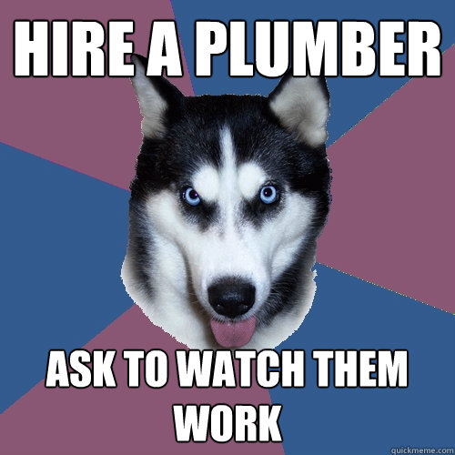 Hire a plumber Ask to watch them work  Creeper Canine