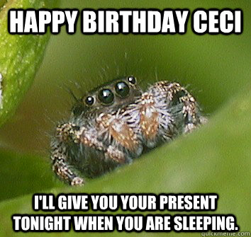 Happy birthday Ceci I'll give you your present tonight when you are sleeping.  Misunderstood Spider