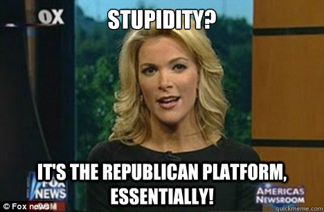 Stupidity? It's the Republican Platform, essentially!  Megyn Kelly