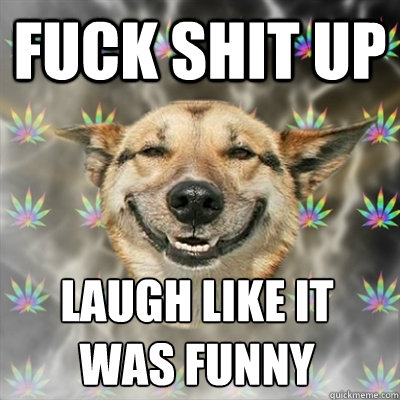 fuck shit up laugh like it was funny  Stoner Dog