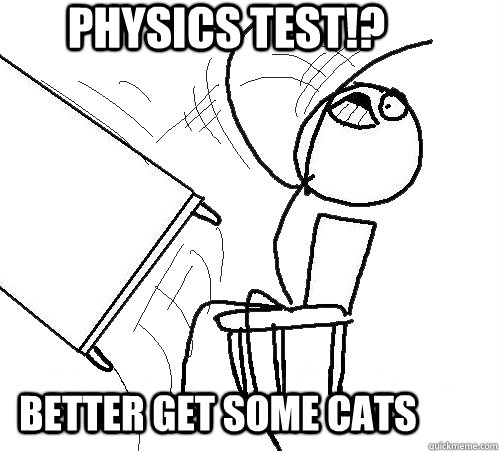 Physics Test!? better get some cats - Physics Test!? better get some cats  rage table flip