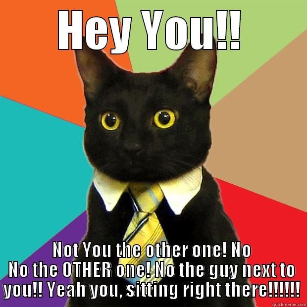 HEY YOU!! NOT YOU THE OTHER ONE! NO NO THE OTHER ONE! NO THE GUY NEXT TO YOU!! YEAH YOU, SITTING RIGHT THERE!!!!!! Business Cat