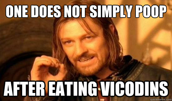 One Does Not Simply Poop After eating Vicodins  Boromir