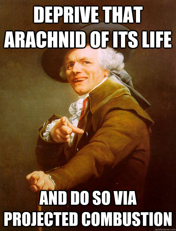 Deprive that arachnid of its life and do so via projected combustion - Deprive that arachnid of its life and do so via projected combustion  Joseph Ducreux