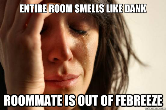 ENTIRE ROOM SMELLS LIKE DANK ROOMMATE IS OUT OF FEBREEZE  First World Problems