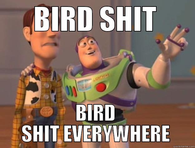 bird shit everywhere - BIRD SHIT BIRD SHIT EVERYWHERE Toy Story