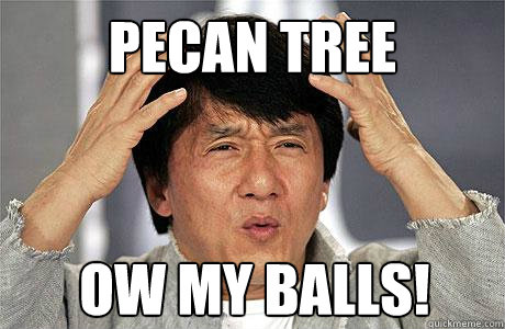 Pecan tree OW my balls!  EPIC JACKIE CHAN