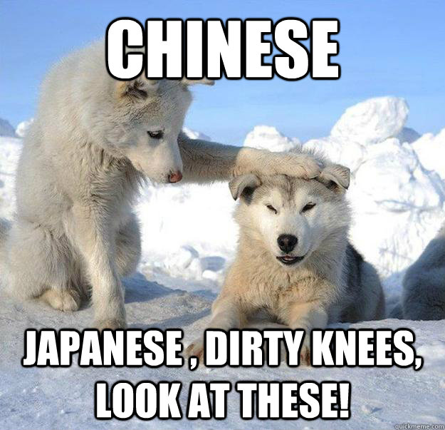 Chinese Japanese , dirty knees, look at these!  Caring Husky