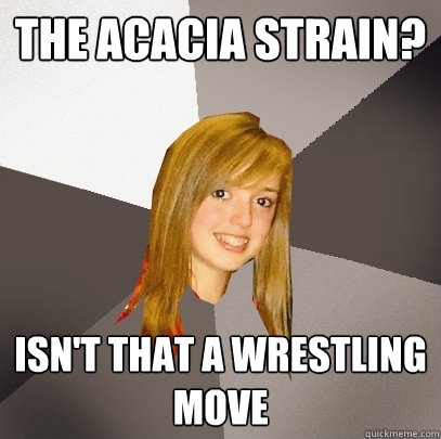 the acacia strain? isn't that a wrestling move  - the acacia strain? isn't that a wrestling move   Musically Oblivious 8th Grader