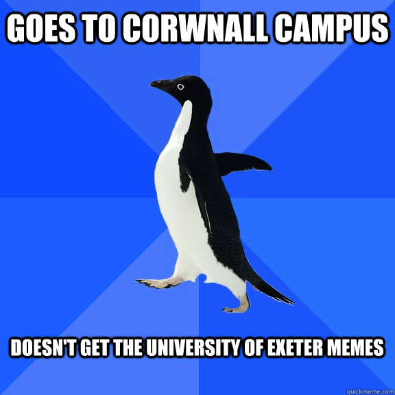 goes to corwnall campus  doesn't get the university of exeter memes  - goes to corwnall campus  doesn't get the university of exeter memes   Socially Awkward Penguin