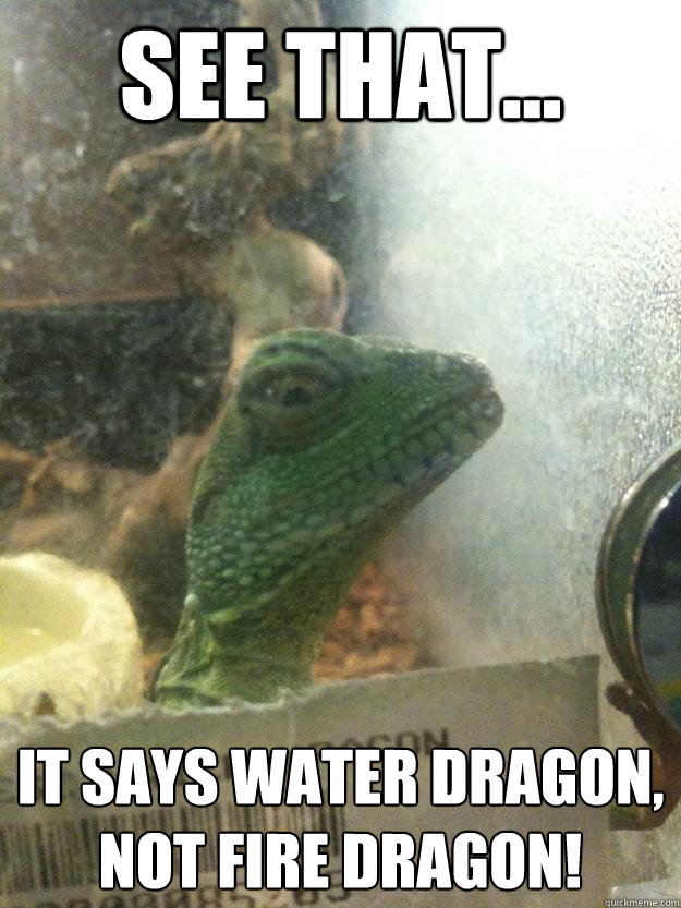 see that... it says water dragon, not fire dragon! - see that... it says water dragon, not fire dragon!  Leery Lizard