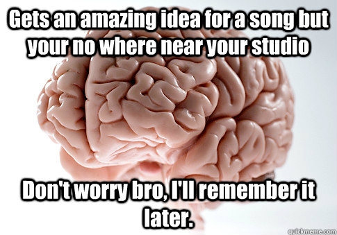 Gets an amazing idea for a song but your no where near your studio Don't worry bro, I'll remember it later.   Scumbag Brain