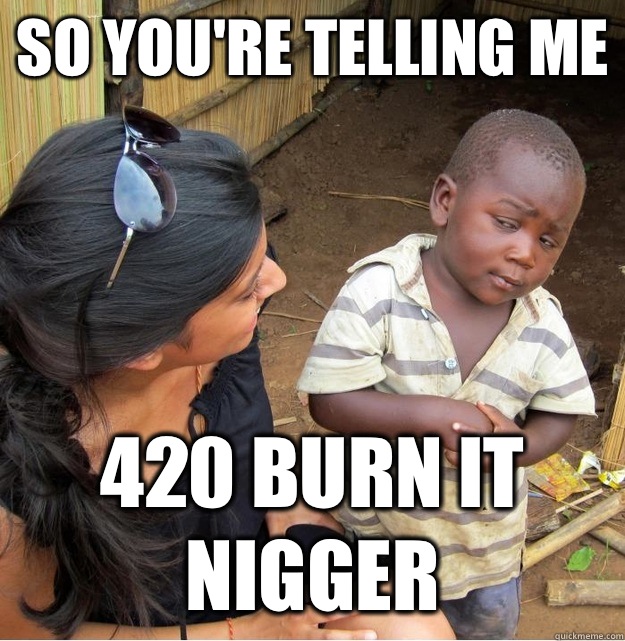 so you're telling me 420 burn it nigger  Skeptical Third World Kid