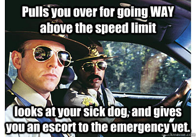 Pulls you over for going WAY above the speed limit looks at your sick dog, and gives you an escort to the emergency vet.  Good Guy Cop