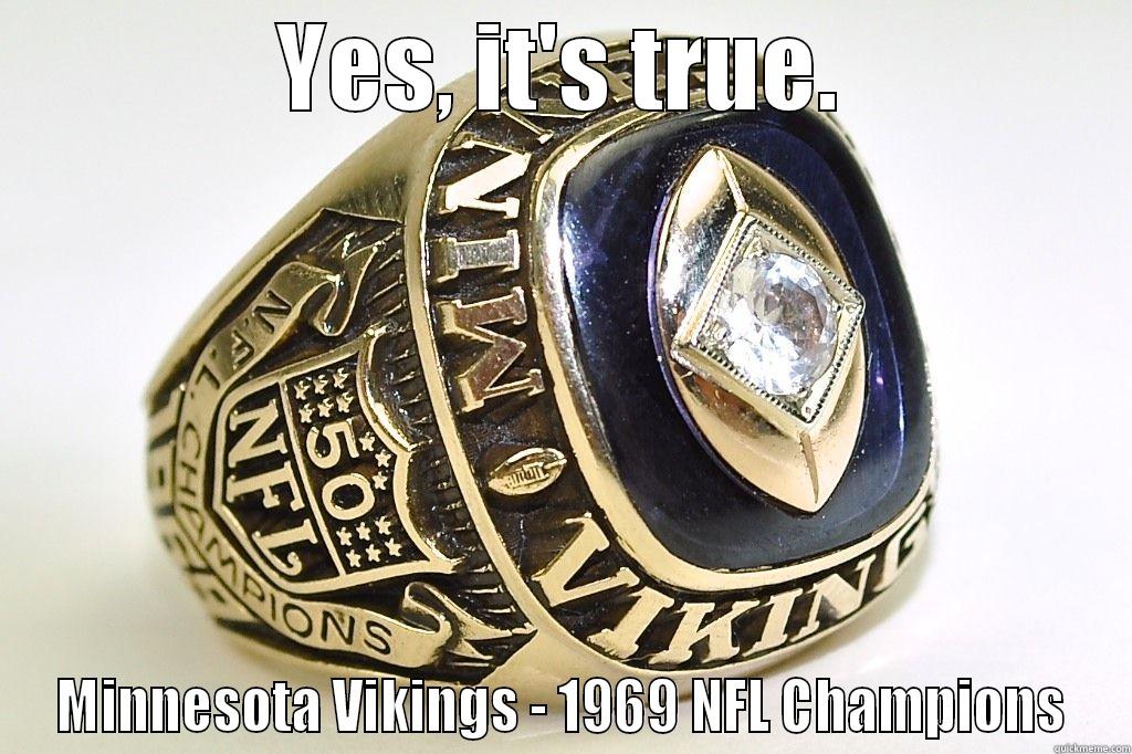 Minnesota Vikings 1969 NFL Champions - YES, IT'S TRUE. MINNESOTA VIKINGS - 1969 NFL CHAMPIONS Misc