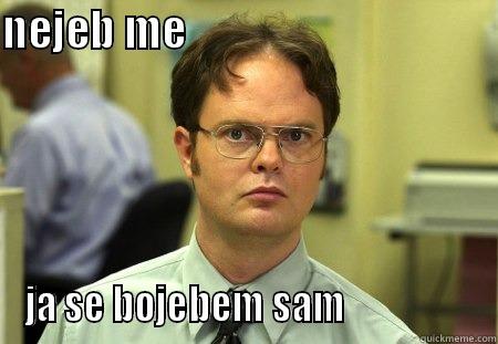 hey im chuck norris - NEJEB ME                                    JA SE BOJEBEM SAM                  Schrute