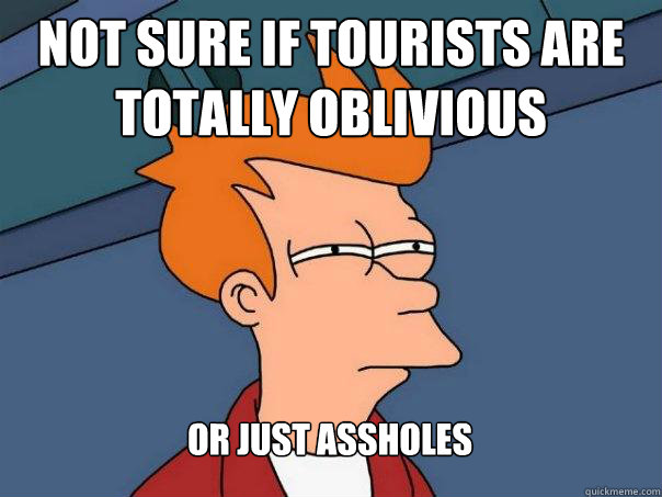 Not sure if tourists are totally oblivious Or just assholes - Not sure if tourists are totally oblivious Or just assholes  Futurama Fry