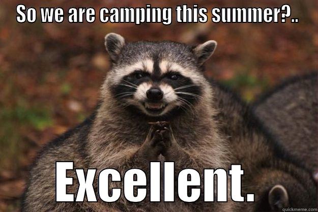 SO WE ARE CAMPING THIS SUMMER?.. EXCELLENT. Evil Plotting Raccoon