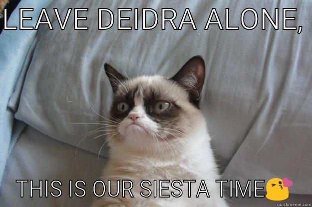 LEAVE DEIDRA ALONE,  THIS IS OUR SIESTA TIME Grumpy Cat