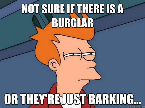 not sure if there is a burglar Or they're just barking...  Futurama Fry