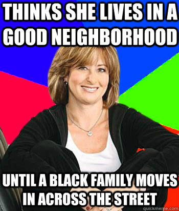 Thinks she lives in a good neighborhood until a black family moves in across the street  Sheltering Suburban Mom