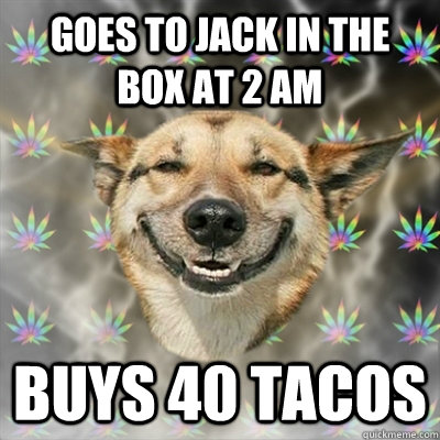 Goes to Jack in the box at 2 am Buys 40 tacos  Stoner Dog