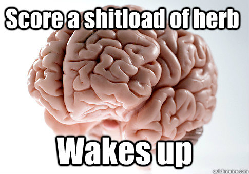 Score a shitload of herb Wakes up  - Score a shitload of herb Wakes up   Scumbag Brain