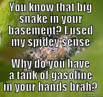 YOU KNOW THAT BIG SNAKE IN YOUR BASEMENT? I USED MY SPIDEY SENSE WHY DO YOU HAVE A TANK OF GASOLINE IN YOUR HANDS BRAH? Misunderstood Spider