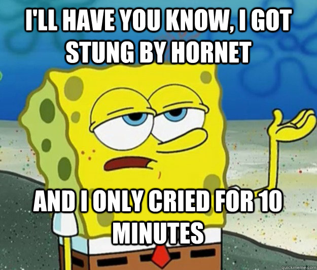 I'll have you know, I got stung by hornet And I only cried for 10 minutes  Tough Spongebob