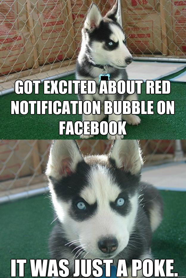 Got excited about red notification bubble on Facebook It was just a poke.  Insanity puppy