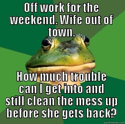 OFF WORK FOR THE WEEKEND. WIFE OUT OF TOWN. HOW MUCH TROUBLE CAN I GET INTO AND STILL CLEAN THE MESS UP BEFORE SHE GETS BACK? Foul Bachelor Frog