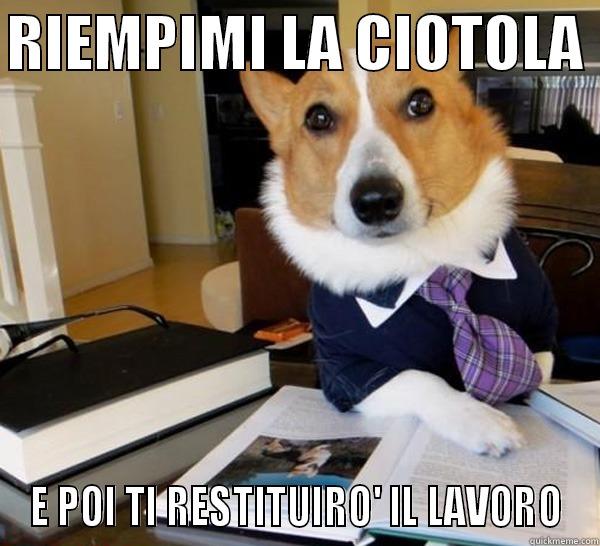 RIEMPIMI LA CIOTOLA  E POI TI RESTITUIRO' IL LAVORO Lawyer Dog