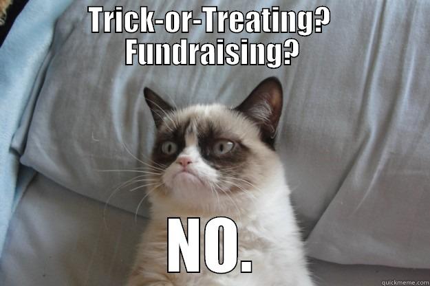 TRICK-OR-TREATING?  FUNDRAISING? NO. Grumpy Cat