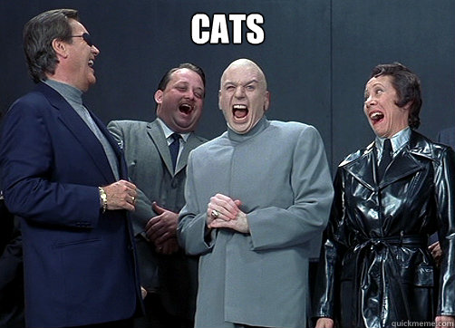 cats   Dr Evil and minions