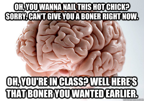 Oh, You wanna nail this Hot Chick? Sorry, can't give you a boner right now. Oh, You're in class? well here's that boner you wanted earlier.  Scumbag Brain