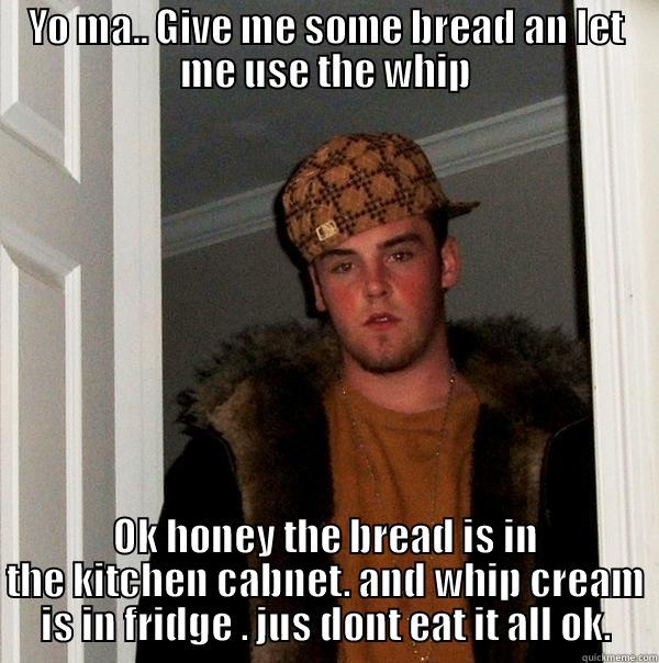 YO MA.. GIVE ME SOME BREAD AN LET ME USE THE WHIP OK HONEY THE BREAD IS IN THE KITCHEN CABNET. AND WHIP CREAM IS IN FRIDGE . JUS DONT EAT IT ALL OK. Scumbag Steve