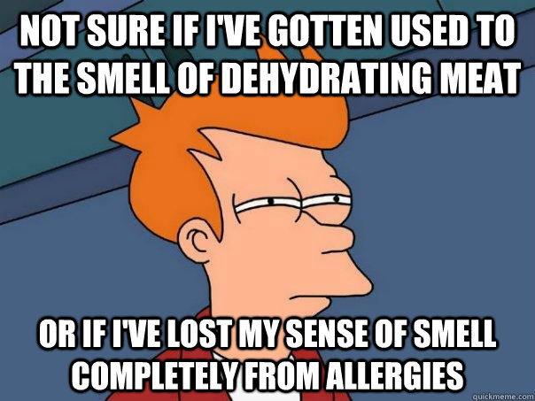 not sure if i've gotten used to the smell of dehydrating meat or if i've lost my sense of smell completely from allergies - not sure if i've gotten used to the smell of dehydrating meat or if i've lost my sense of smell completely from allergies  Futurama Fry