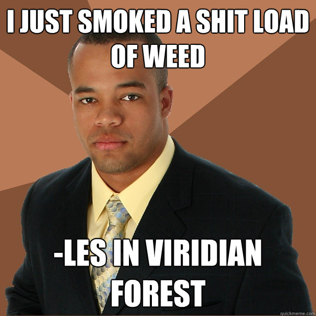 I just smoked a shit load of weed -les in viridian forest  Successful Black Man