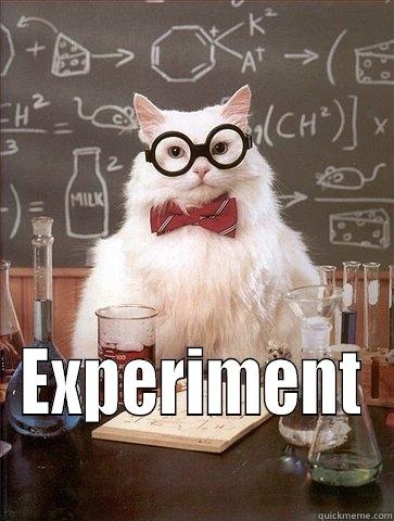 Cat Experiment -  EXPERIMENT Chemistry Cat