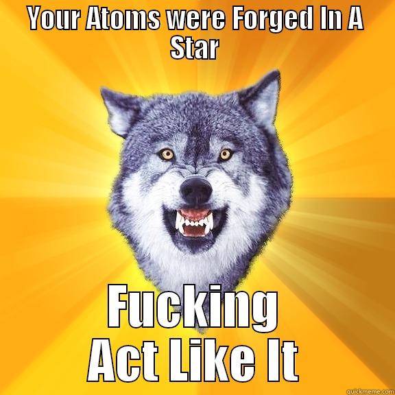 YOUR ATOMS WERE FORGED IN A STAR FUCKING ACT LIKE IT Courage Wolf