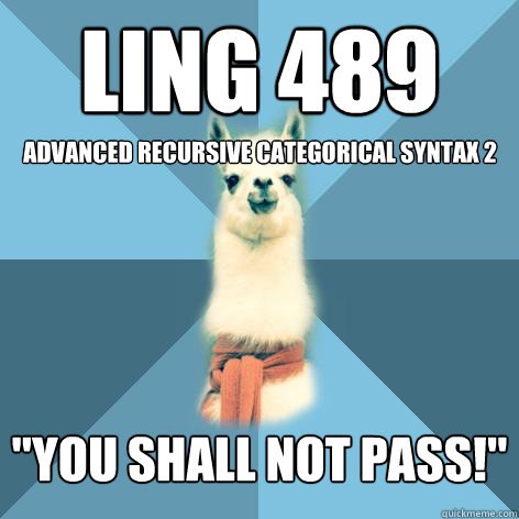 LING 489 
