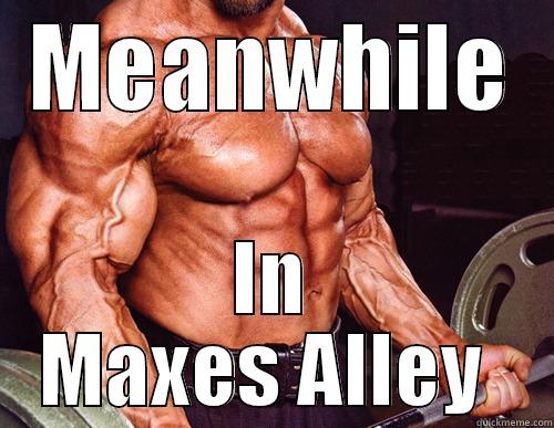 MEANWHILE IN MAXES ALLEY  Misc