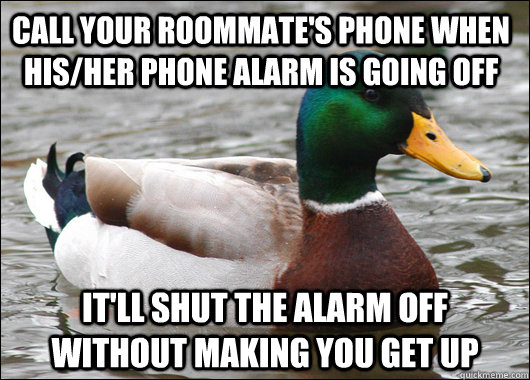 Call your roommate's phone when his/her phone alarm is going off It'll shut the alarm off without making you get up - Call your roommate's phone when his/her phone alarm is going off It'll shut the alarm off without making you get up  Actual Advice Mallard