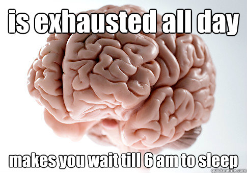 is exhausted all day makes you wait till 6 am to sleep   Scumbag Brain