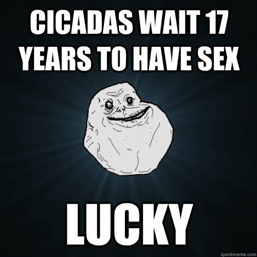 Cicadas wait 17 years to have sex lucky - Cicadas wait 17 years to have sex lucky  Forever Alone