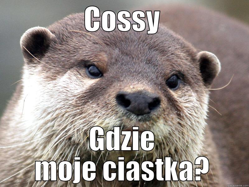 COSSY GDZIE MOJE CIASTKA? Misc