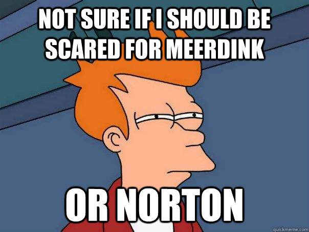 Not sure if I should be scared for meerdink Or Norton  Futurama Fry