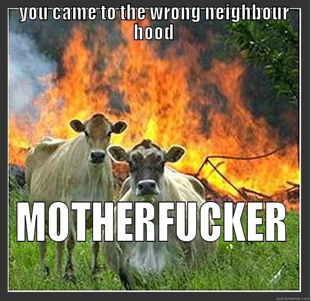 YOU CAME TO THE WRONG NEIGHBOUR HOOD MOTHERFUCKER Evil cows