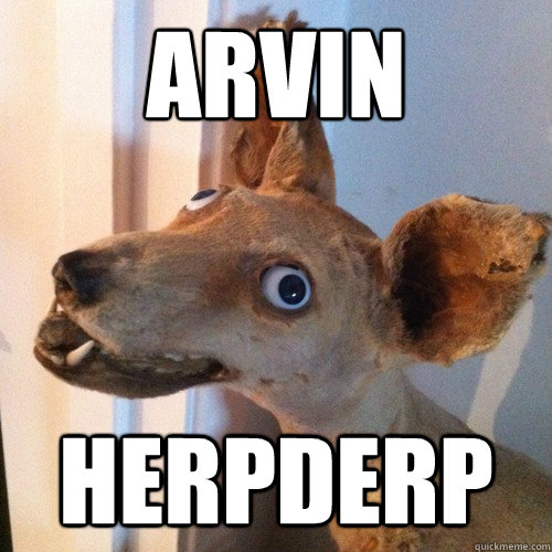 arvin herpderp  