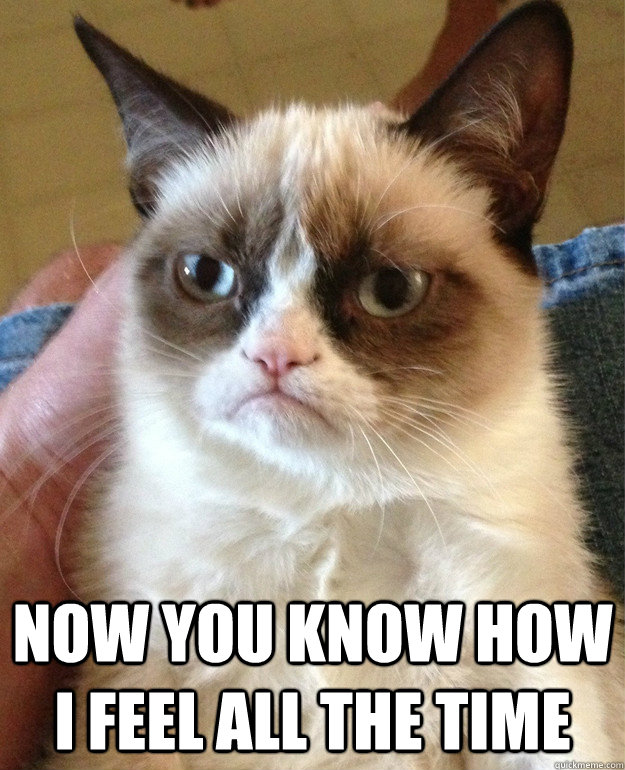  now you know how I feel all the time  Grumpy Cat